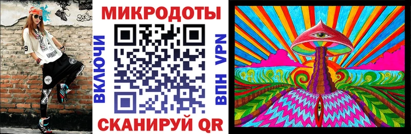 Купить где  Далматово  Галлюциногенные грибы Cubensis 